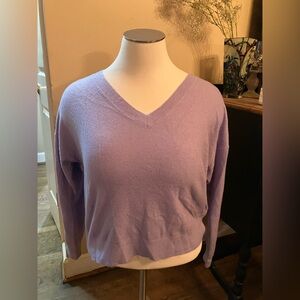 Ann Taylor V neck lavender sweater
Size XL
Great condition